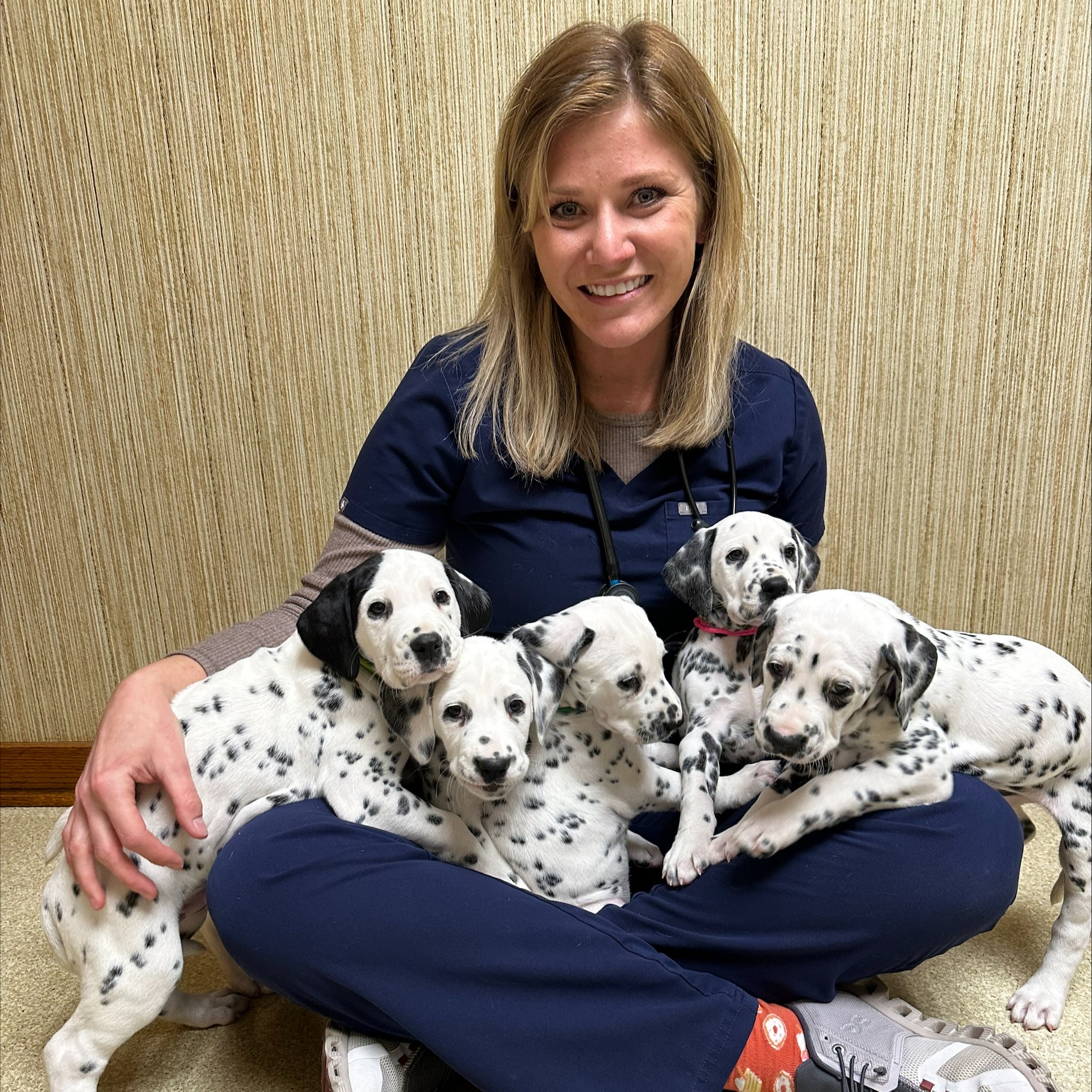 Dr. Vargo & Dalmatian Puppies