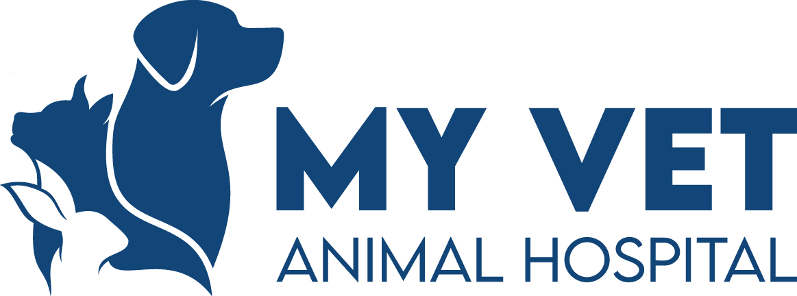 AAHA-Accredited Hospital | My Vet Animal Hospital in Westerville, OH